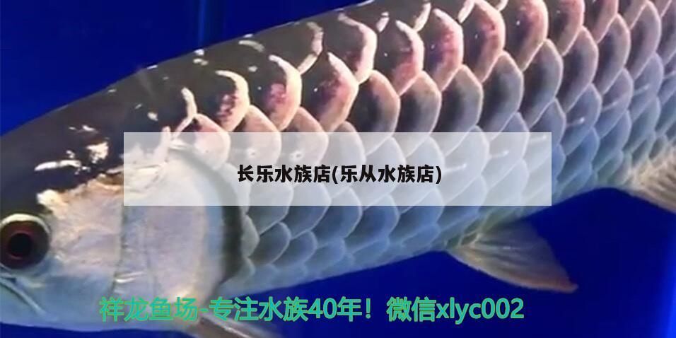 龍魚(yú)的價(jià)格因其品其品其相關(guān)因素，龍魚(yú)價(jià)格及其相關(guān)因素介紹龍魚(yú)的價(jià)格及其相關(guān)因素