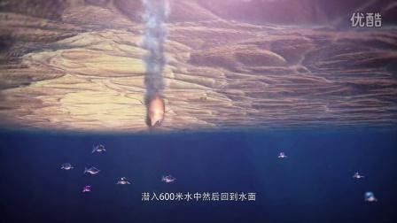 大道龍魚全集免費播放
