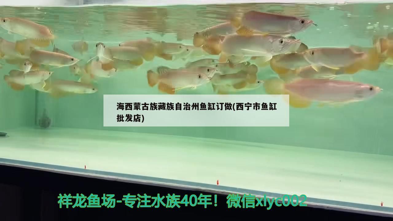 海西蒙古族藏族自治州魚缸訂做(西寧市魚缸批發店)