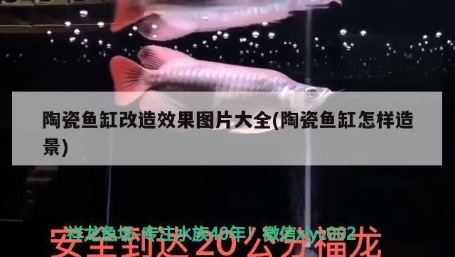 魚缸用增氧泵價格是多少:魚缸增氧機-xtrac增氧機-xtrac增氧機 陶瓷魚缸改造效果圖片大全(陶瓷魚缸怎樣造景) 觀賞魚百科 陶瓷魚缸改造效果圖片大全(陶瓷魚缸怎樣造景) 陶瓷魚缸改造效果圖片大全(陶瓷魚缸怎樣造景) 觀賞魚百科
