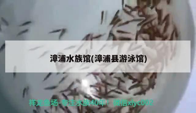 漳浦水族館(漳浦縣游泳館) 漳浦水族館(漳浦縣游泳館) 觀賞魚百科