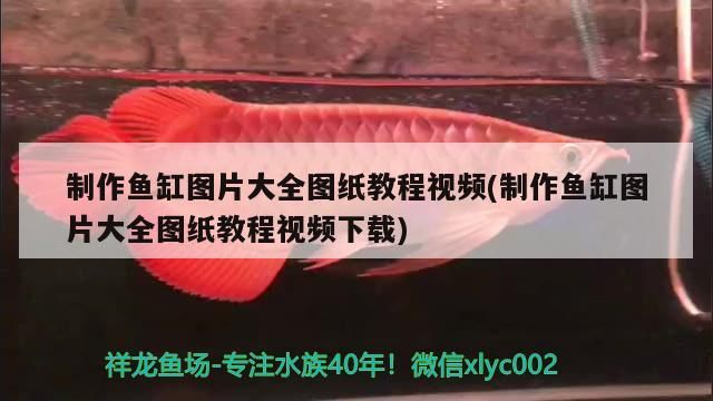 龍魚 制作魚缸圖片大全圖紙教程視頻(制作魚缸圖片大全圖紙教程視頻下載) 觀賞魚百科 制作魚缸圖片大全圖紙教程視頻(制作魚缸圖片大全圖紙教程視頻下載) 制作魚缸圖片大全圖紙教程視頻(制作魚缸圖片大全圖紙教程視頻下載) 觀賞魚百科
