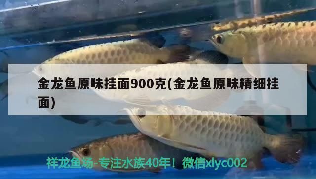 金龍魚原味掛面900克(金龍魚原味精細掛面) 觀賞魚百科 金龍魚原味掛面900克(金龍魚原味精細掛面) 金龍魚原味掛面900克(金龍魚原味精細掛面) 觀賞魚百科