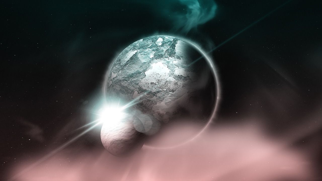 彗星錦鯉圖片高清大圖（彗星蝴蝶鯉圖片）