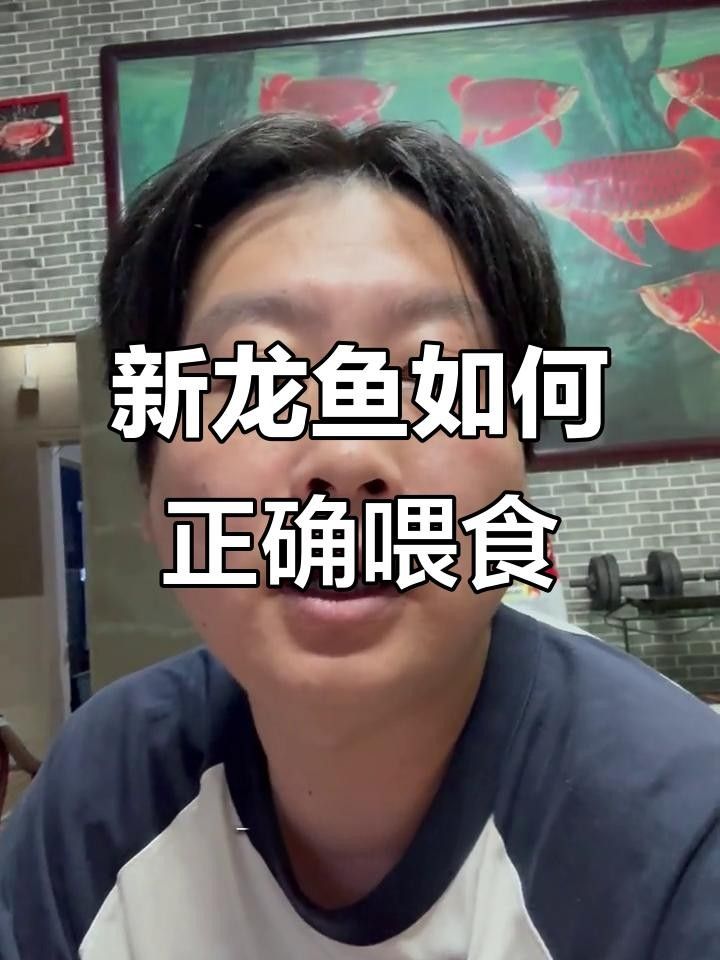 龍魚的飼養與觀賞