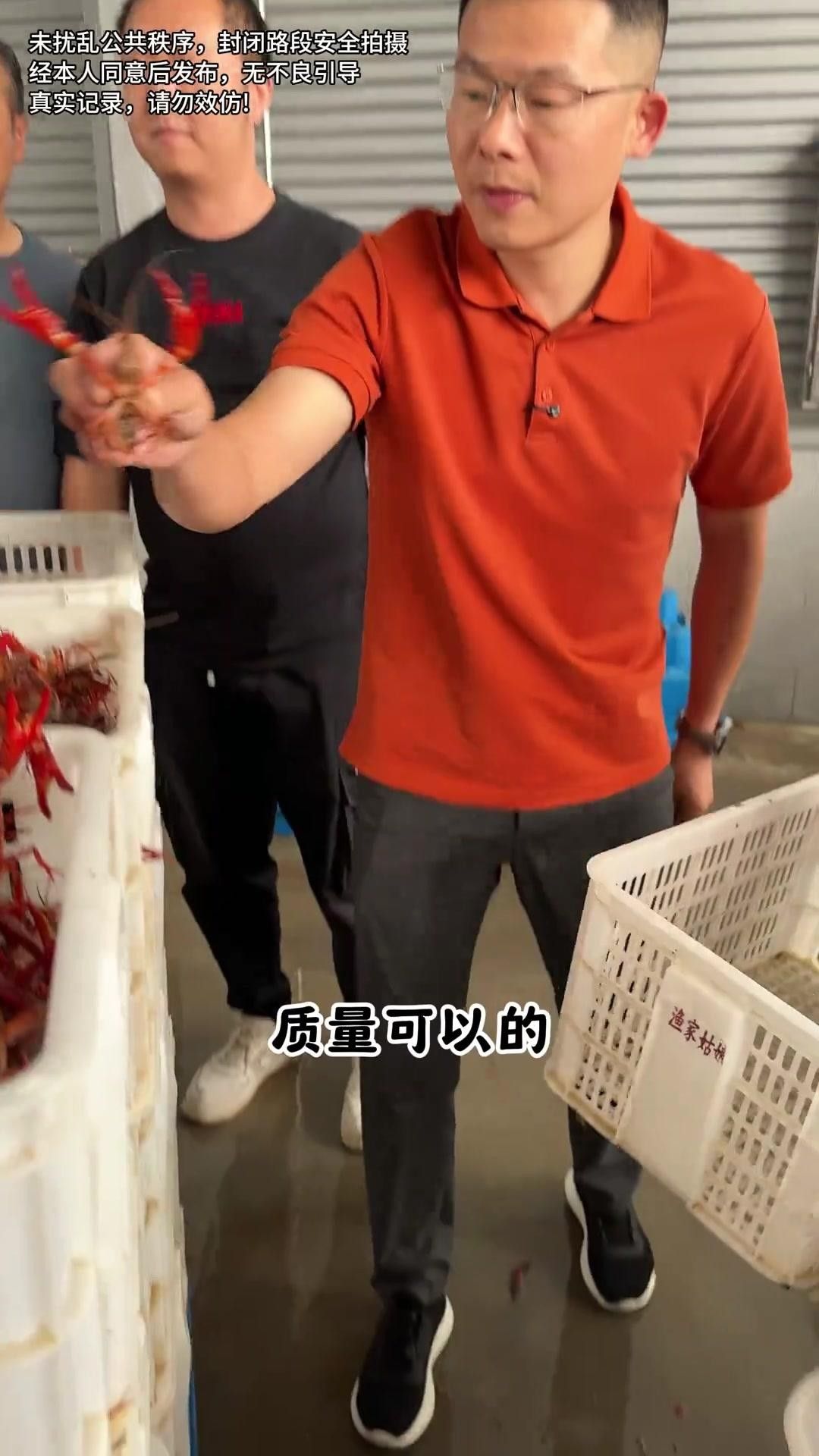 南縣小龍蝦網(wǎng)紅店 南縣小龍蝦網(wǎng)紅店 觀賞魚百科 第10張