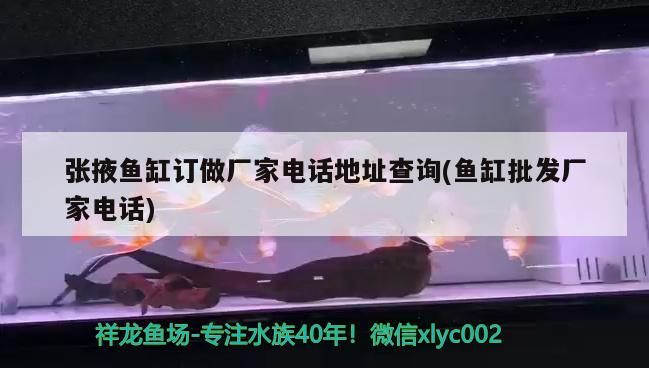 張掖魚缸訂做廠家電話地址查詢(魚缸批發廠家電話)