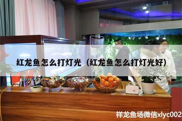 紅龍魚怎么打燈光（紅龍魚怎么打燈光好）