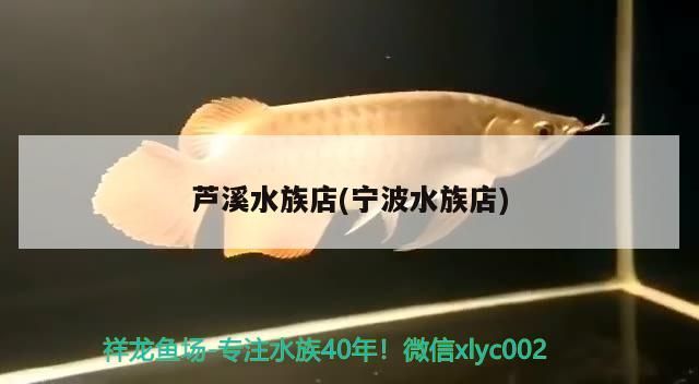 蘆溪水族店(寧波水族店)