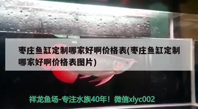 魚缸用增氧泵價格是多少:魚缸增氧機-xtrac增氧機-xtrac增氧機 棗莊魚缸定制哪家好啊價格表(棗莊魚缸定制哪家好啊價格表圖片) 觀賞魚百科 棗莊魚缸定制哪家好啊價格表(棗莊魚缸定制哪家好啊價格表圖片) 棗莊魚缸定制哪家好啊價格表(棗莊魚缸定制哪家好啊價格表圖片) 觀賞魚百科