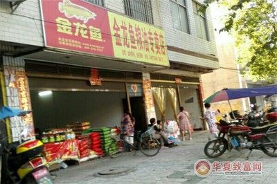 雷龍魚飼養難度排行（關于雷龍魚飼養難度排行） 雷龍魚飼養難度排行（關于雷龍魚飼養難度排行） 觀賞魚百科