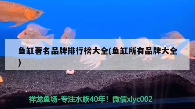 紅龍魚用黃燈烤有用嗎 魚缸著名品牌排行榜大全(魚缸所有品牌大全) 觀賞魚百科 魚缸著名品牌排行榜大全(魚缸所有品牌大全) 魚缸著名品牌排行榜大全(魚缸所有品牌大全) 觀賞魚百科