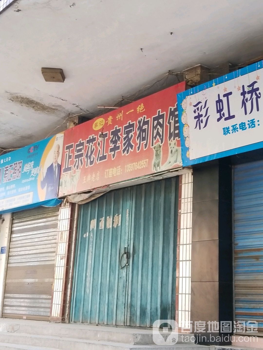 黃石金龍魚 黃石金龍魚 觀賞魚百科 第1張