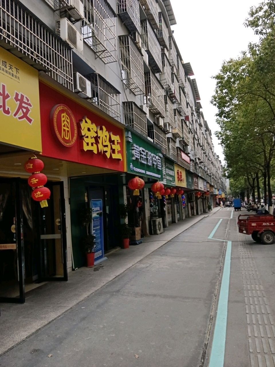 黃石金龍魚 黃石金龍魚 觀賞魚百科 第2張