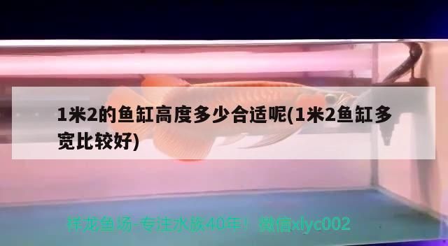 1米2的魚缸高度多少合適呢(1米2魚缸多寬比較好) 1米2的魚缸高度多少合適呢(1米2魚缸多寬比較好) 觀賞魚百科