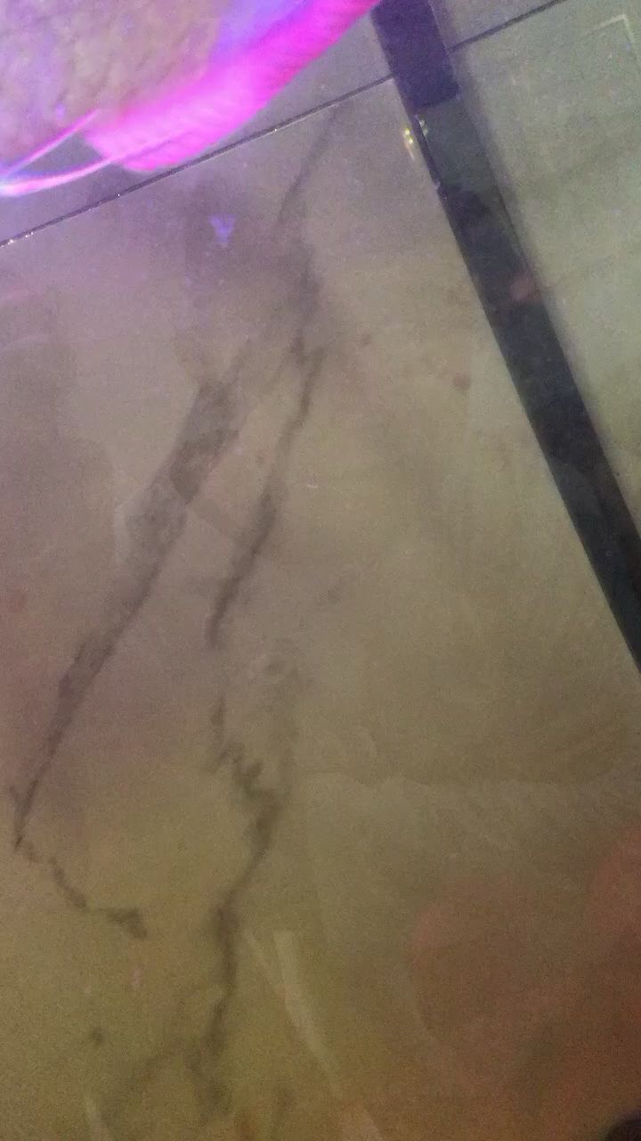 缸了出現(xiàn)了不明生物