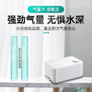盤龍魚是什么魚圖片大全集（盤龍魚是什么魚圖片大全集高清）