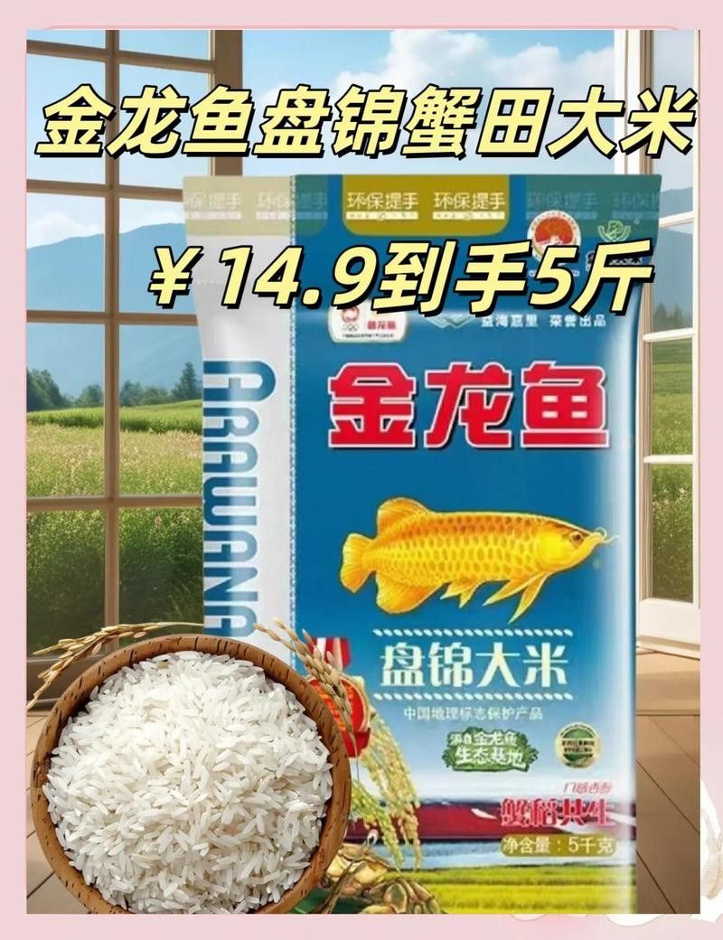 金龍魚東北 金龍魚東北 觀賞魚百科 第9張