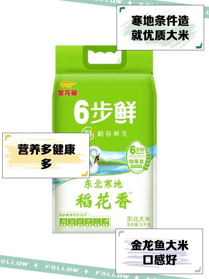金龍魚東北 金龍魚東北 觀賞魚百科 第8張