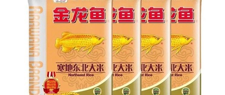 金龍魚東北 金龍魚東北 觀賞魚百科 第10張