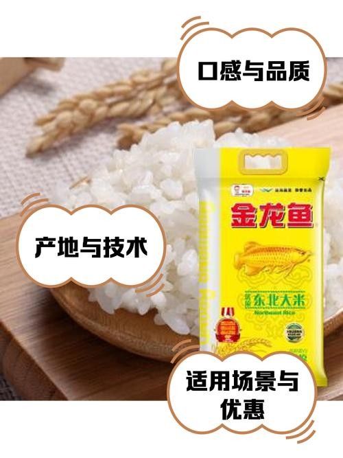金龍魚東北 觀賞魚百科 第5張 金龍魚東北 金龍魚東北 觀賞魚百科 第5張