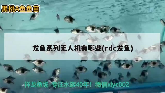 龍魚系列無人機有哪些(rdc龍魚) 龍魚系列無人機有哪些(rdc龍魚) 觀賞魚百科