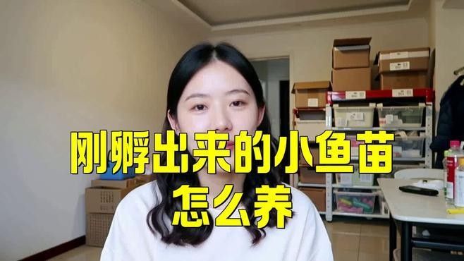 魚小苗