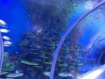 綿陽水族館：綿陽水族館綿陽水族館綿陽水族館綿陽水族館