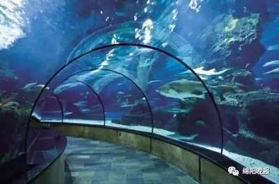 綿陽水族館：綿陽水族館綿陽水族館綿陽水族館綿陽水族館