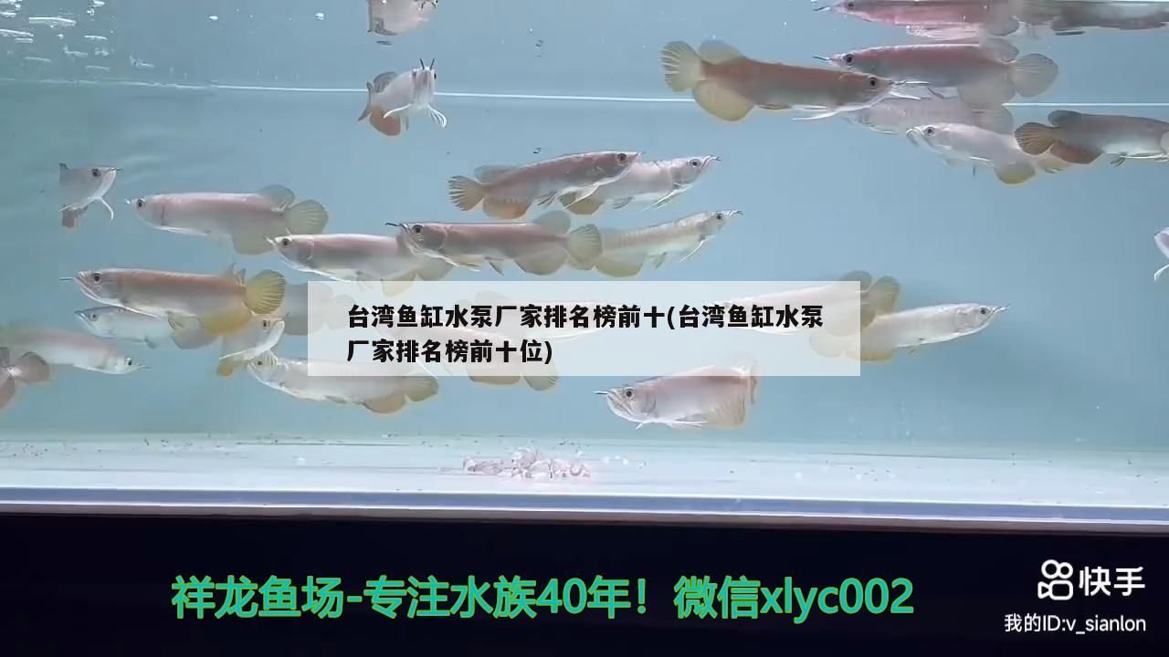 龍魚干蝦有營養(yǎng)嗎 臺(tái)灣魚缸水泵廠家排名榜前十(臺(tái)灣魚缸水泵廠家排名榜前十位) 觀賞魚百科 臺(tái)灣魚缸水泵廠家排名榜前十(臺(tái)灣魚缸水泵廠家排名榜前十位) 臺(tái)灣魚缸水泵廠家排名榜前十(臺(tái)灣魚缸水泵廠家排名榜前十位) 觀賞魚百科