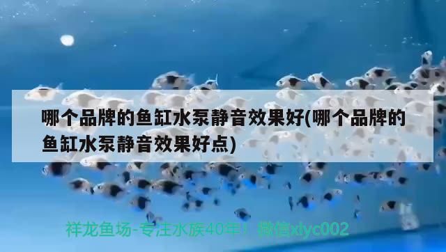 哪個品牌的魚缸水泵靜音效果好(哪個品牌的魚缸水泵靜音效果好點)