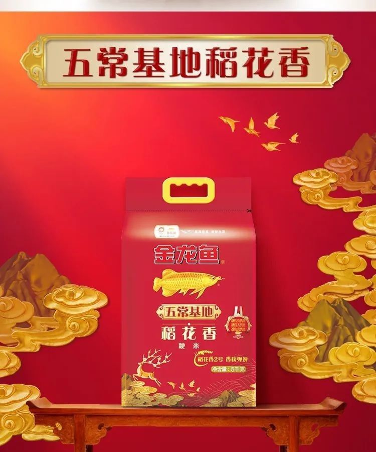 蘿北金龍魚屬于什么檔次 蘿北金龍魚屬于什么檔次 觀賞魚百科 第12張