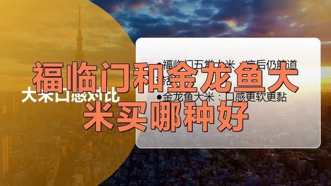 蘿北金龍魚屬于什么檔次 蘿北金龍魚屬于什么檔次 觀賞魚百科 第9張