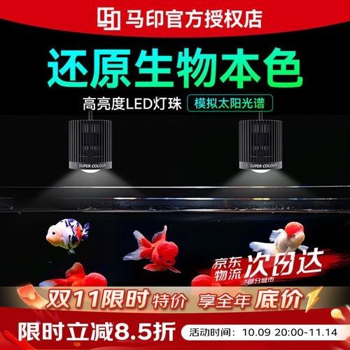 馬印是什么牌子