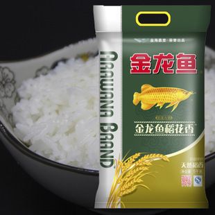 如何正確養護福龍魚（-如何正確養護福龍魚健康和活力） 如何正確養護福龍魚（-如何正確養護福龍魚健康和活力） 觀賞魚百科