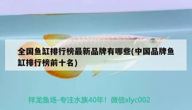 全國魚缸排行榜最新品牌有哪些(中國品牌魚缸排行榜前十名) 全國魚缸排行榜最新品牌有哪些(中國品牌魚缸排行榜前十名) 觀賞魚百科