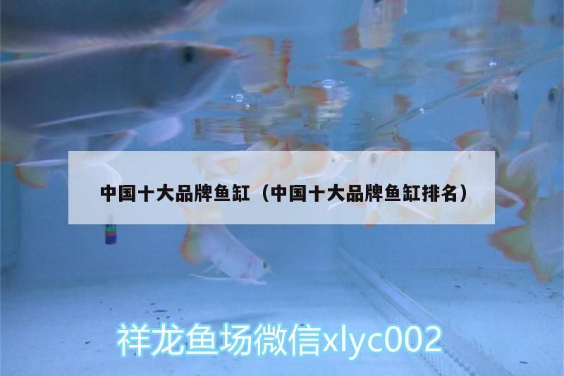 中國十大品牌魚缸（中國十大品牌魚缸排名） 中國十大品牌魚缸（中國十大品牌魚缸排名） 觀賞魚百科