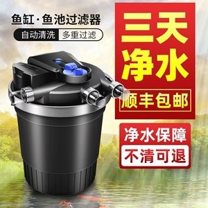 龍魚換水后趴缸正常嗎（龍魚換水后一直張嘴是什么原因）