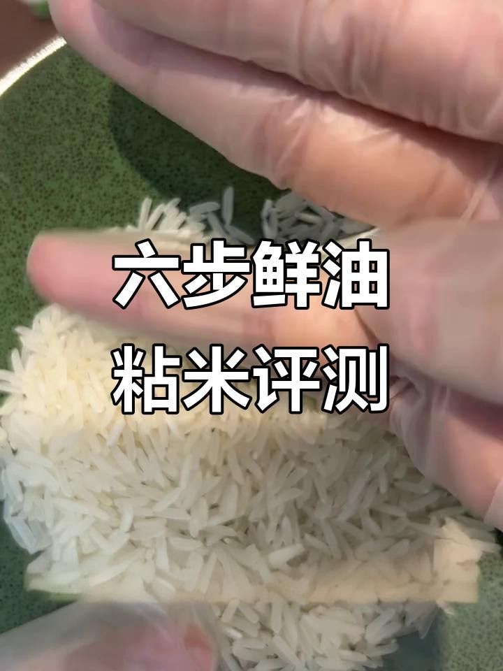綏寧金龍魚