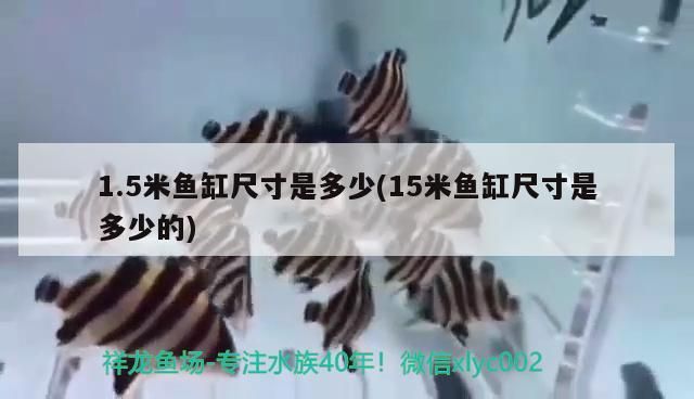 1.5米魚缸尺寸是多少(15米魚缸尺寸是多少的)