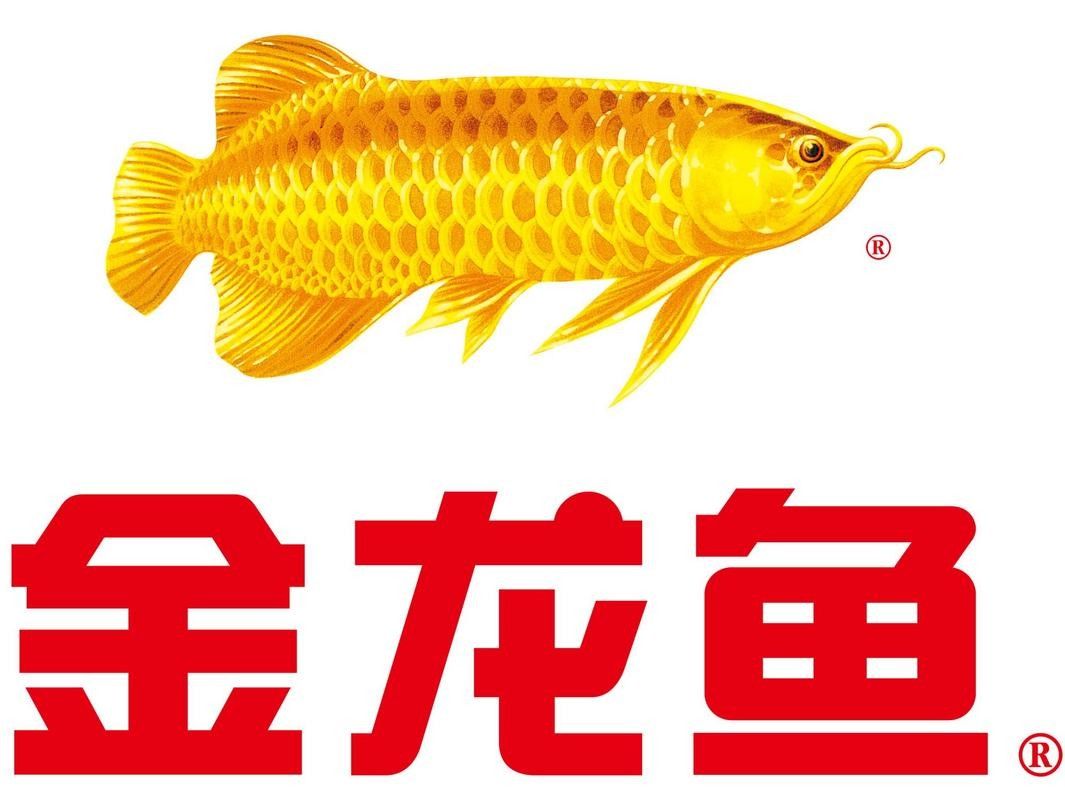 龍魚之家是不是雜牌子 龍魚之家是不是雜牌子 觀賞魚百科 第3張