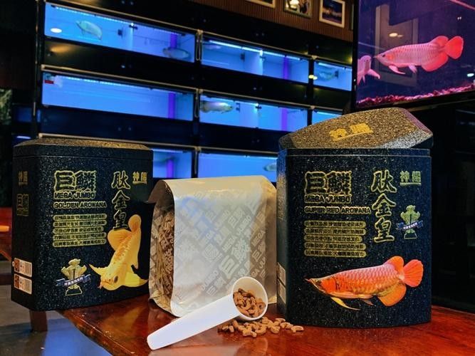 龍魚之家是不是雜牌子 龍魚之家是不是雜牌子 觀賞魚百科 第2張
