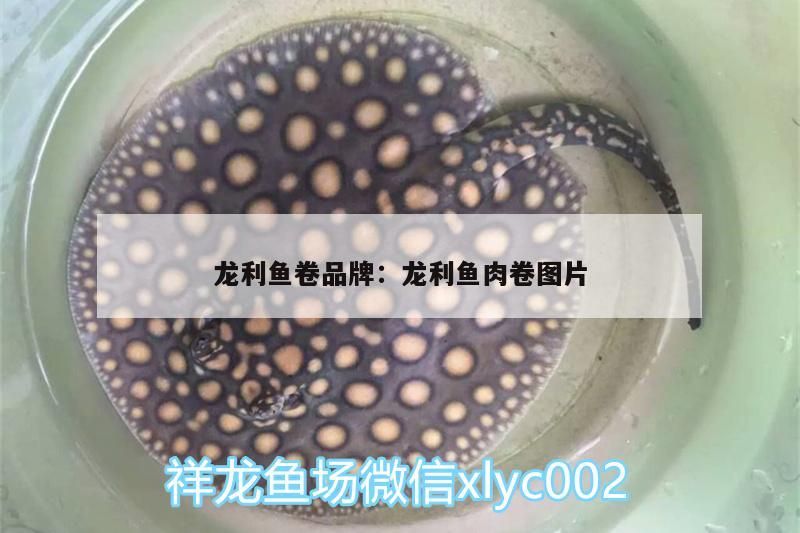 龍魚干蝦有營養(yǎng)嗎 龍利魚卷品牌:龍利魚肉卷圖片 觀賞魚百科 龍利魚卷品牌:龍利魚肉卷圖片 龍利魚卷品牌:龍利魚肉卷圖片 觀賞魚百科