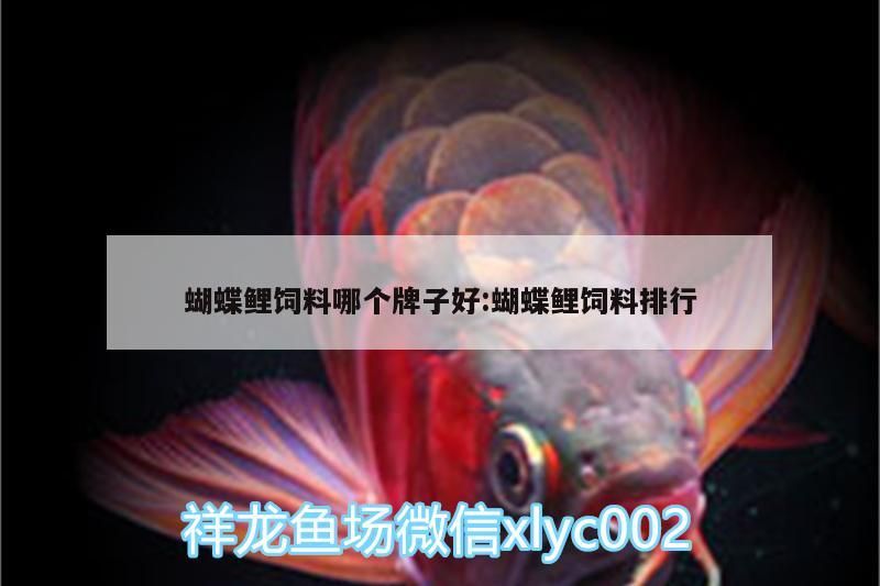 魚缸用增氧泵價格是多少:魚缸增氧機(jī)-xtrac增氧機(jī)-xtrac增氧機(jī) 蝴蝶鯉飼料哪個牌子好:蝴蝶鯉飼料排行 觀賞魚百科 蝴蝶鯉飼料哪個牌子好:蝴蝶鯉飼料排行 蝴蝶鯉飼料哪個牌子好:蝴蝶鯉飼料排行 觀賞魚百科