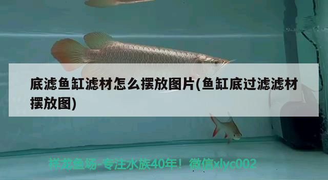底濾魚缸濾材怎么擺放圖片(魚缸底過濾濾材擺放圖) 底濾魚缸濾材怎么擺放圖片(魚缸底過濾濾材擺放圖) 觀賞魚百科