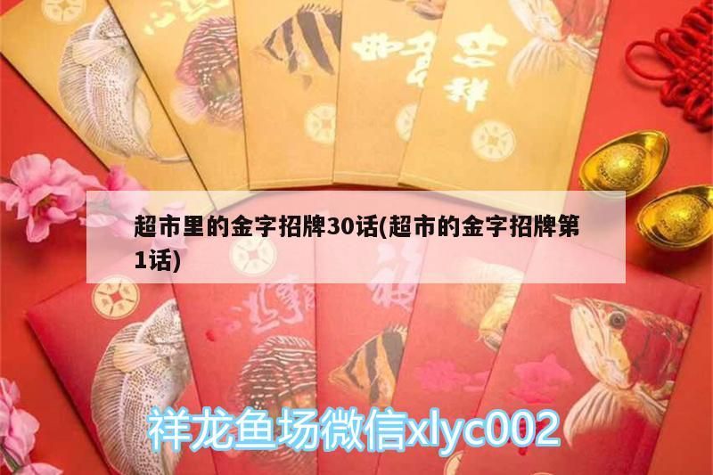 我的虎魚真菌感染了要怎么處理 超市里的金字招牌30話(超市的金字招牌第1話) 觀賞魚百科 超市里的金字招牌30話(超市的金字招牌第1話) 超市里的金字招牌30話(超市的金字招牌第1話) 觀賞魚百科