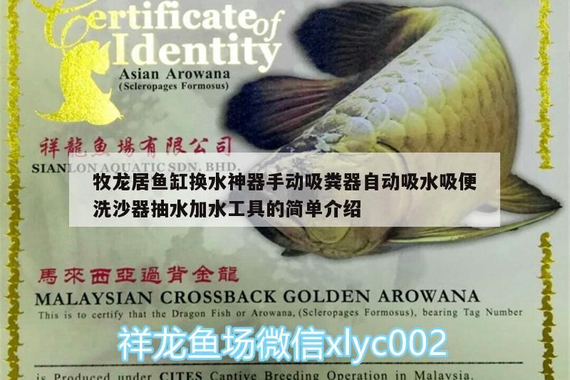 牧龍居魚缸換水神器手動吸糞器自動吸水吸便洗沙器抽水加水工具的簡單介紹 牧龍居魚缸換水神器手動吸糞器自動吸水吸便洗沙器抽水加水工具的簡單介紹 觀賞魚百科