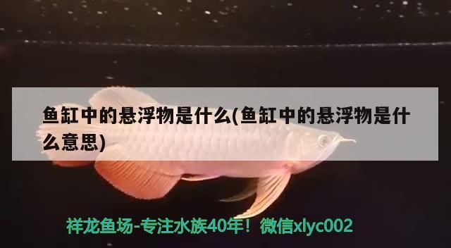 龍魚鱗片損傷的判斷方法主要包括觀察鱗片的完整性、檢查鱗片的完整性，如何判斷龍魚鱗片損傷