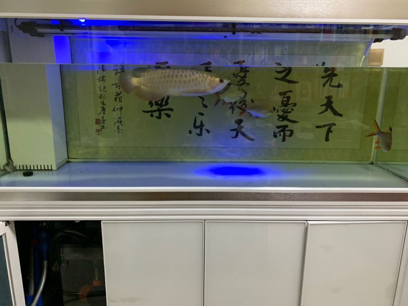 【換水讓我快樂！勞動人民最光榮！】