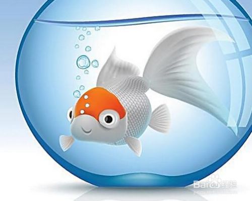 龍魚發病有哪幾種癥狀表現（龍魚發病有哪幾種癥狀表現圖片）